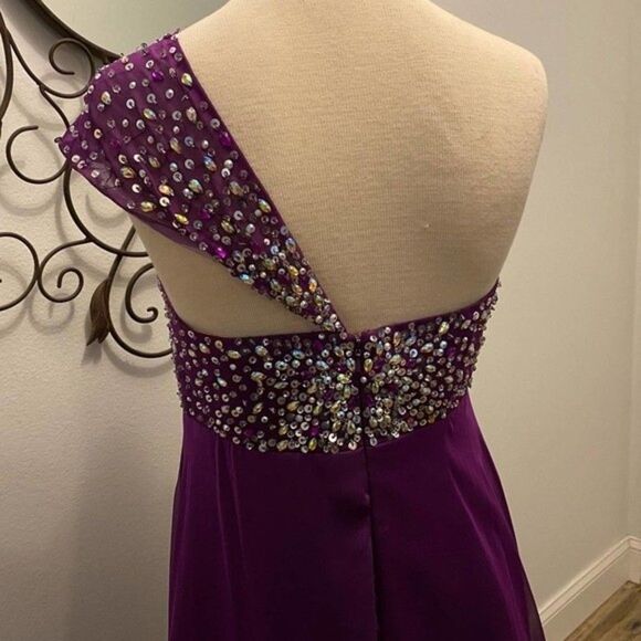 NW - One Shoulder Plum Formal Gown  / Wedding / Prom Dress - Clarisse Size 14 - Picture 11 of 16
